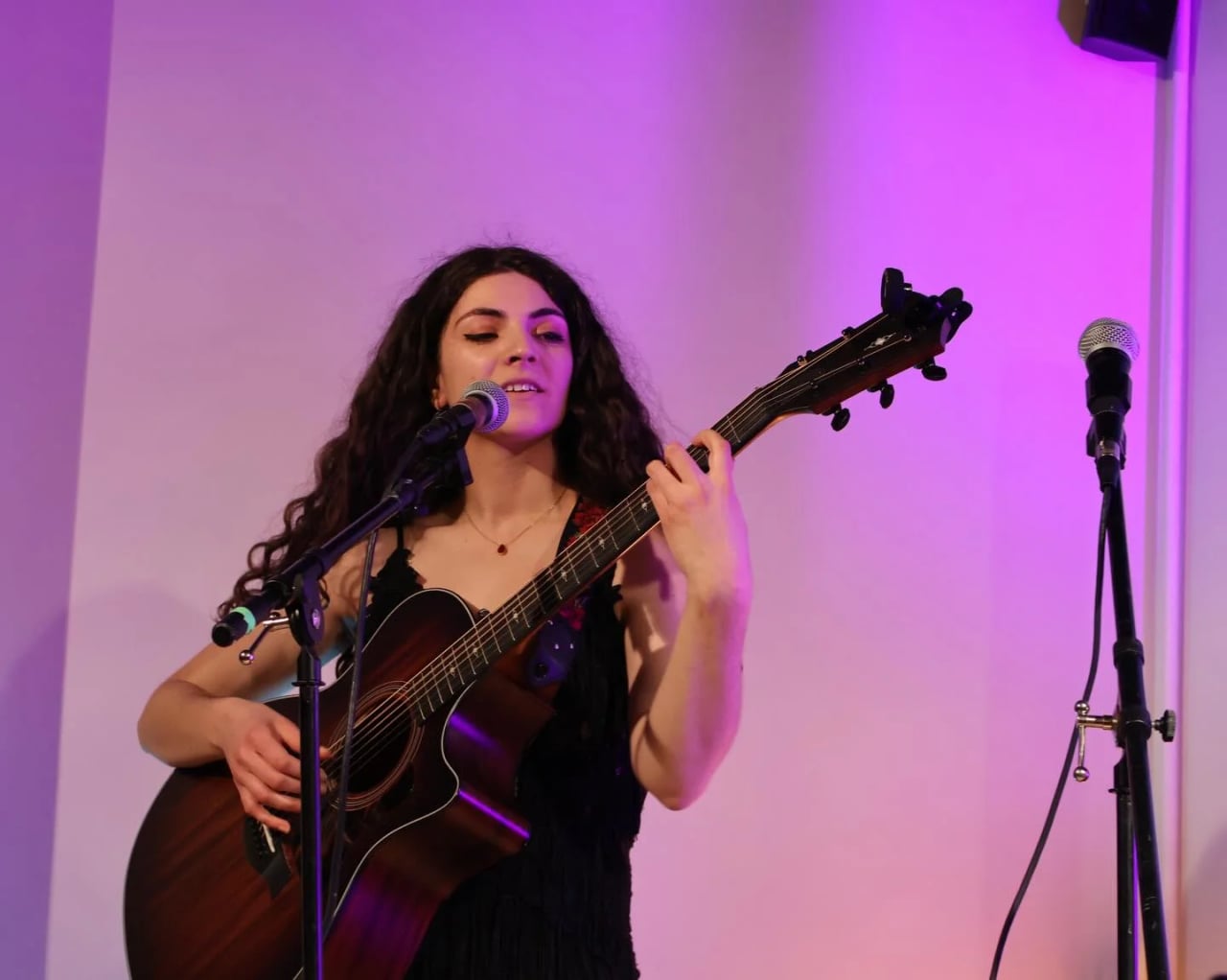 Acoustic set