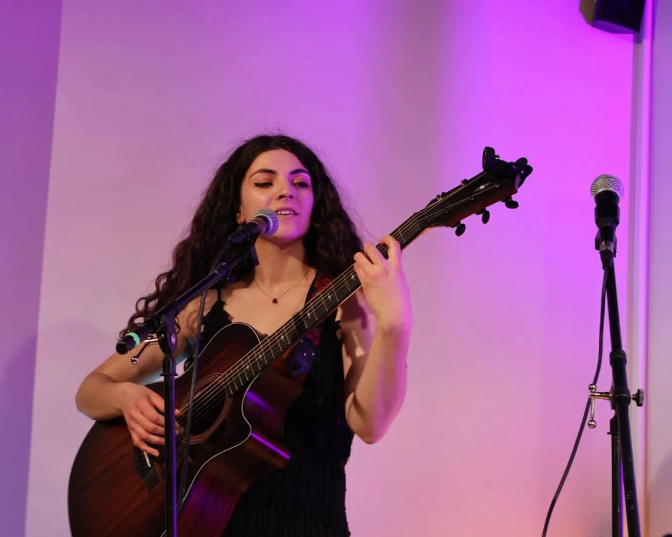 Acoustic set